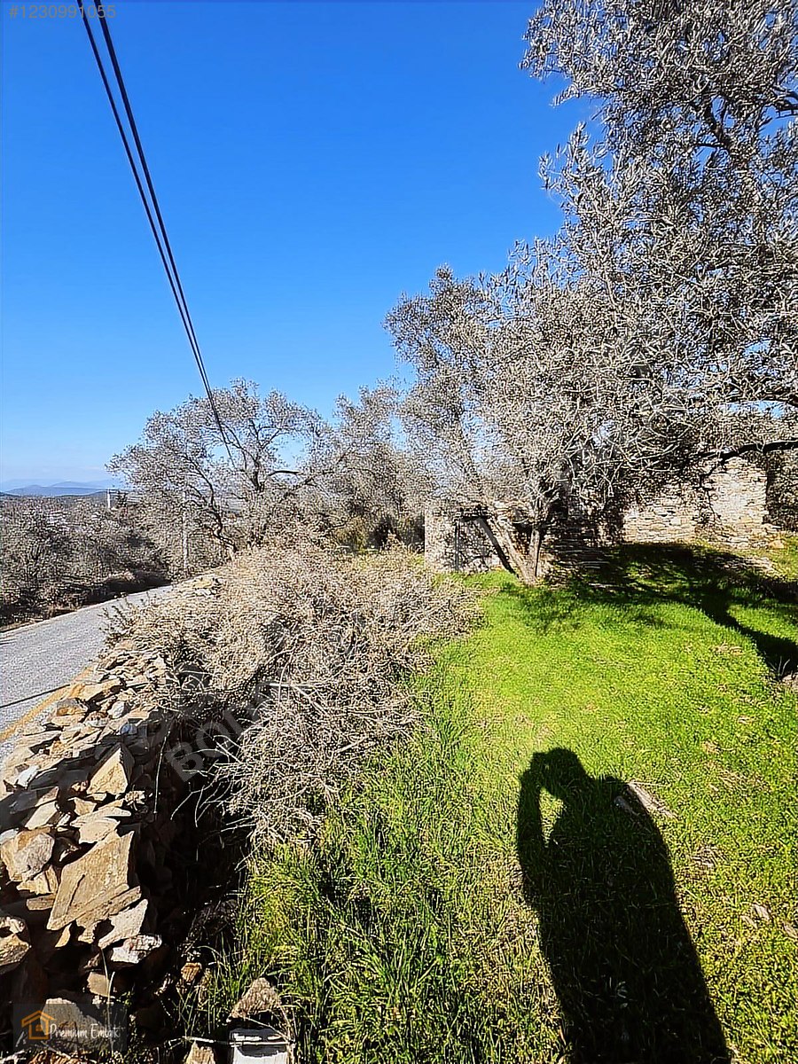 MİLAS KARACAHİSARDA KÖY İÇİ KAĞİR EV VE 980 M2 ARSASI - MUĞLA MİLAS fotoğraf 17