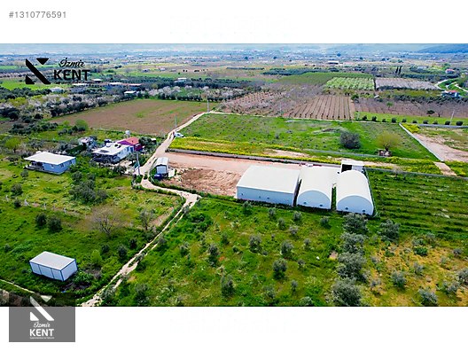 Kemalpaşa Satılık Mantar Üretim Tesisi 500 m2 - İZMİR KEMALPAŞA fotoğraf 41