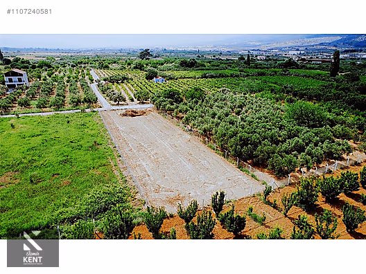 Kemalpaşa Aşağıkızılca Satılık Bahçe 1.200 m2 Tek Tapu - İZMİR KEMALPAŞA fotoğraf 29