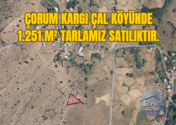 ÇORUM KARGI ÇAL KÖYÜNDE 1.251 M² TARLAMIZ SATILIKTIR. - Çorum Kargı fotoğraf 3