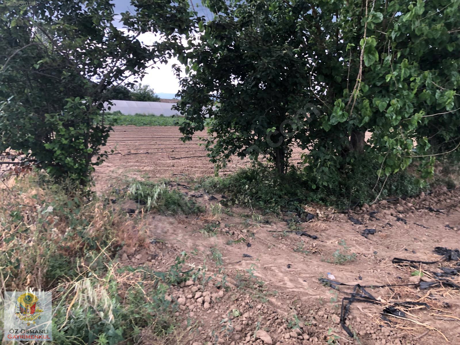 600 M2 NEHİR KENARI RESMİ YOLU OLAN MERKEZE YAKIN TARLA - BİLECİK OSMANELİ fotoğraf 11