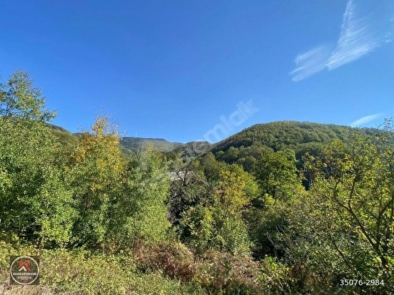 KARAMÜRSEL SENAİYEDE 999 M² KÖY İÇİ İMARLI SATILIK ARSA FIRSATI - KOCAELİ KARAMÜRSEL fotoğraf 21