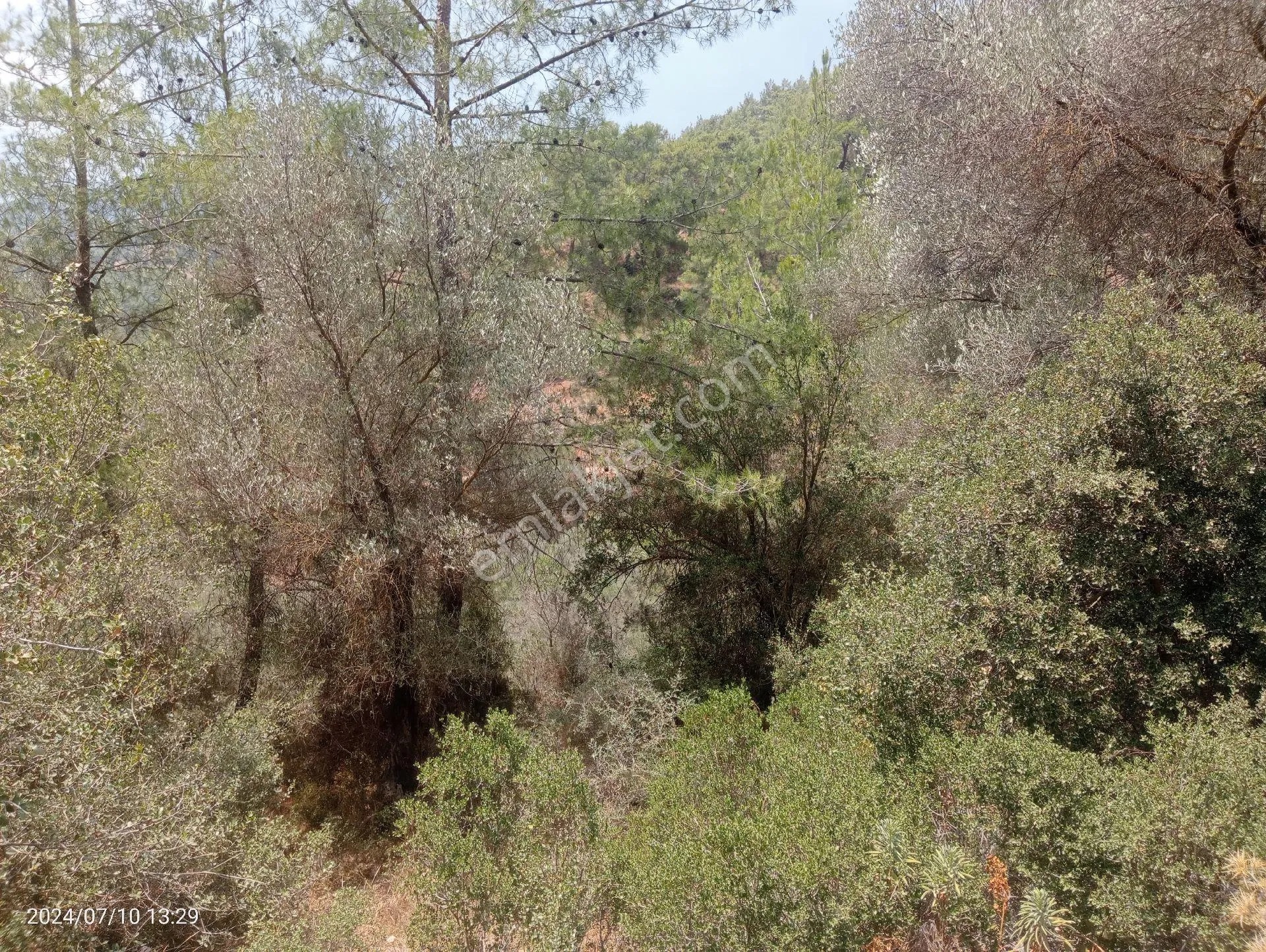 Antalya Kumluca Orta Köyde Satılık Tarla İnceoğlu Emlak - ANTALYA KUMLUCA fotoğraf 22