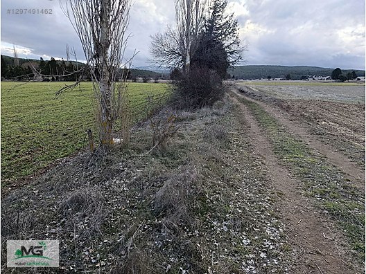 KÜTAHYA ALTINTAŞ PINARCIK FIRSAT ÜRÜN TARLA ARSA BAHÇE - KÜTAHYA ALTINTAŞ fotoğraf 5
