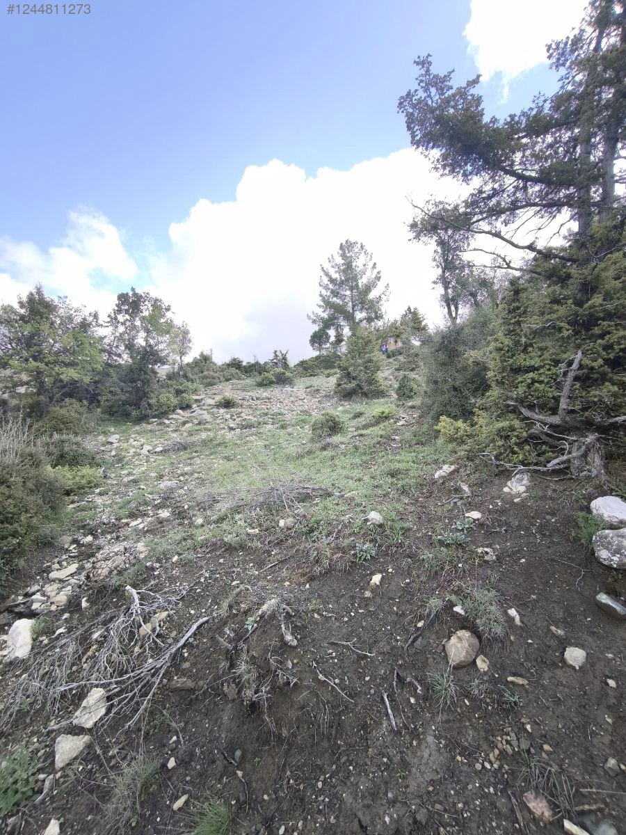 Antalya / Kumluca / Kuzca Mahallesinde 513 m² SATILIK ARSA  - ANTALYA KUMLUCA fotoğraf 8