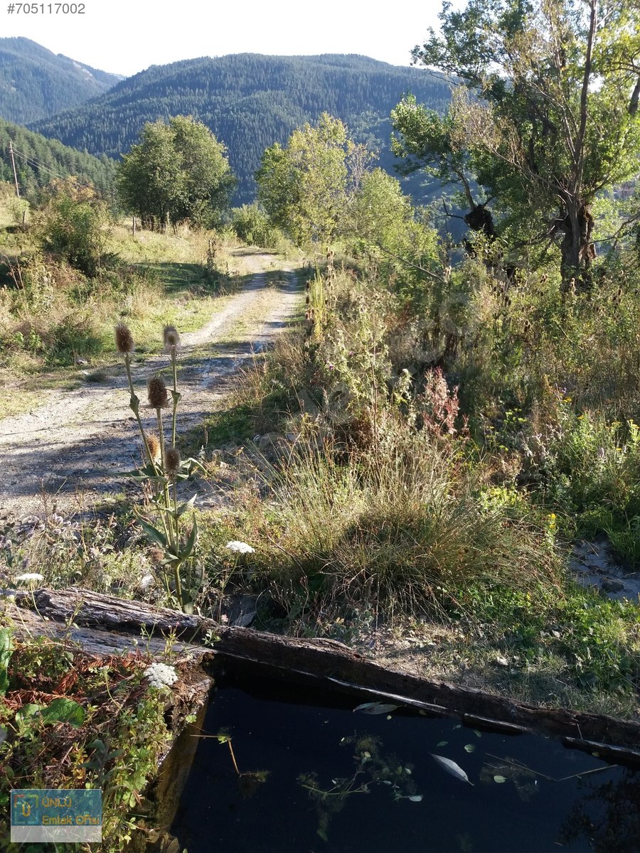 ÜNLÜ EMLAKTAN ILGAZ MANZARALI ORMAN İÇİNDE 50 DÖNÜM CAZİP ARAZİ - KASTAMONU MERKEZ fotoğraf 32