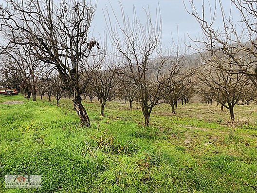 Serdivan Esentepe'de Satılık Arsalar - Yatırım Fırsatı! - SAKARYA SERDİVAN fotoğraf 19