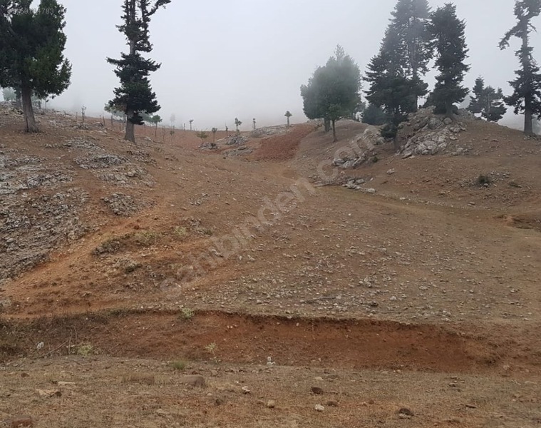 FEKE KOVUKÇINARDA YAYLALIK YATIRIMLIK ARAZİ 4510M² - ADANA FEKE fotoğraf 2