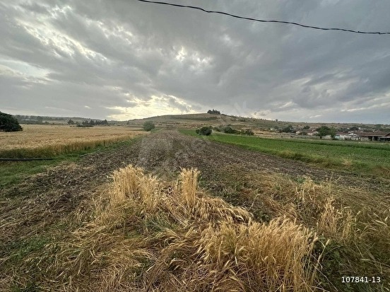 KUZUÇARDAĞI KÖYÜNDE 2245 M2 MÜSTAKİL TAPU %60 İMARLI ARSA - KIRKLARELİ BABAESKİ fotoğraf 15
