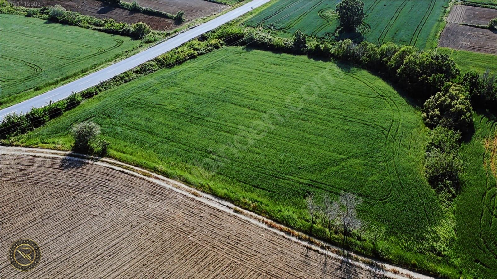 PINARHİSAR ANAYOLUNA CEPHE TARLA - KIRKLARELİ MERKEZ fotoğraf 2