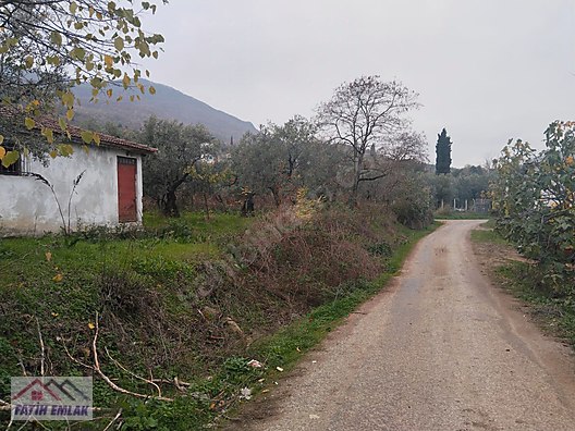 Orhangazi Gemiç Köyü Mahallesi köy içi arsa - BURSA ORHANGAZİ fotoğraf 18
