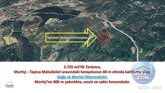 Murtiçine Yakın Konumda Acil Satılık Tarla - ANTALYA AKSEKİ fotoğraf 26