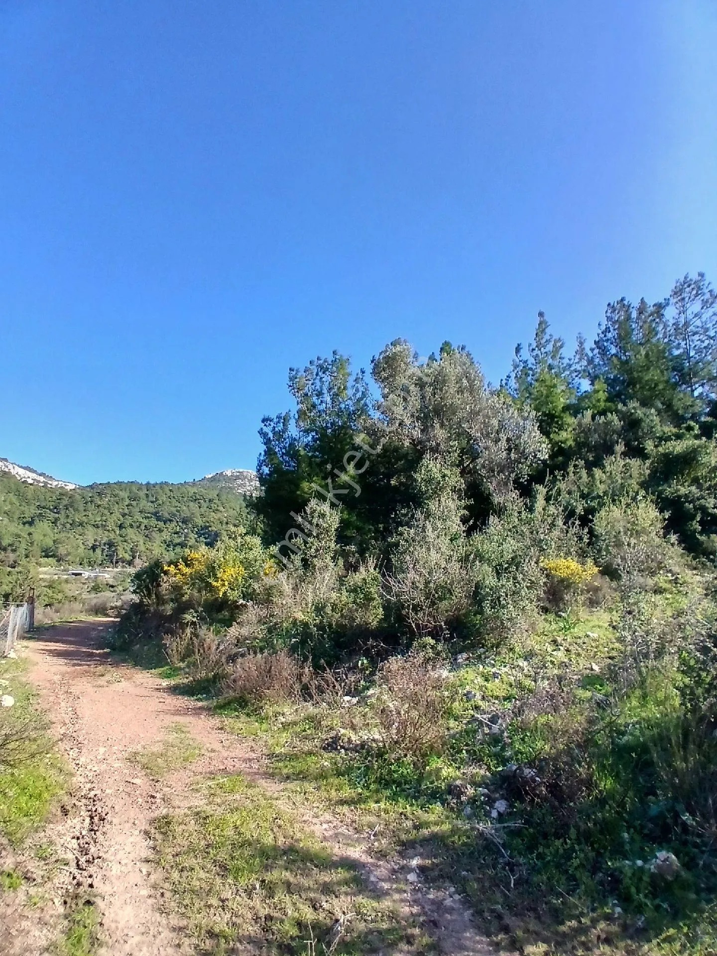 Belen Mahallesinde Satılık 3583 M2 Arsa - ANTALYA KUMLUCA fotoğraf 3