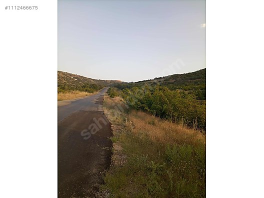DENİZLİ BEKİLLİ DEŞDEMİR KÖYÜNDE  5.489 M²   TARLA SATILIKTIR - DENİZLİ BEKİLLİ fotoğraf 5