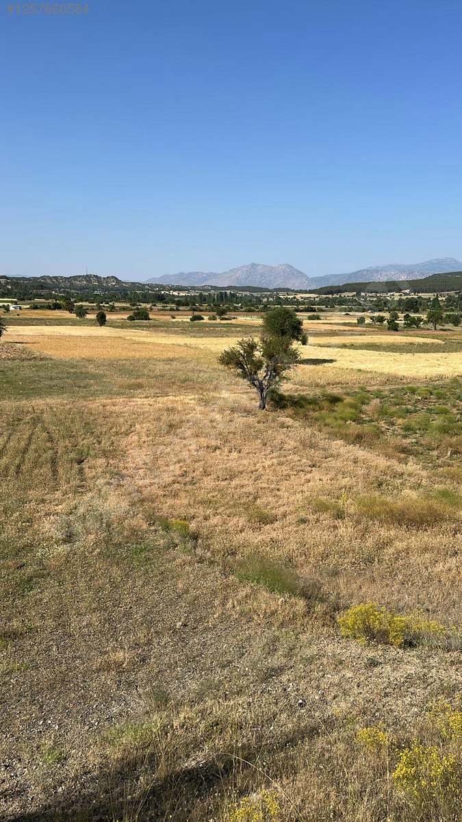 DENİZLİ ACIPAYAM ÇAYIR KÖYÜNDE  TOPLAM 1.863 M²   2 TARLA SATILIKTIR - DENİZLİ ACIPAYAM fotoğraf 5