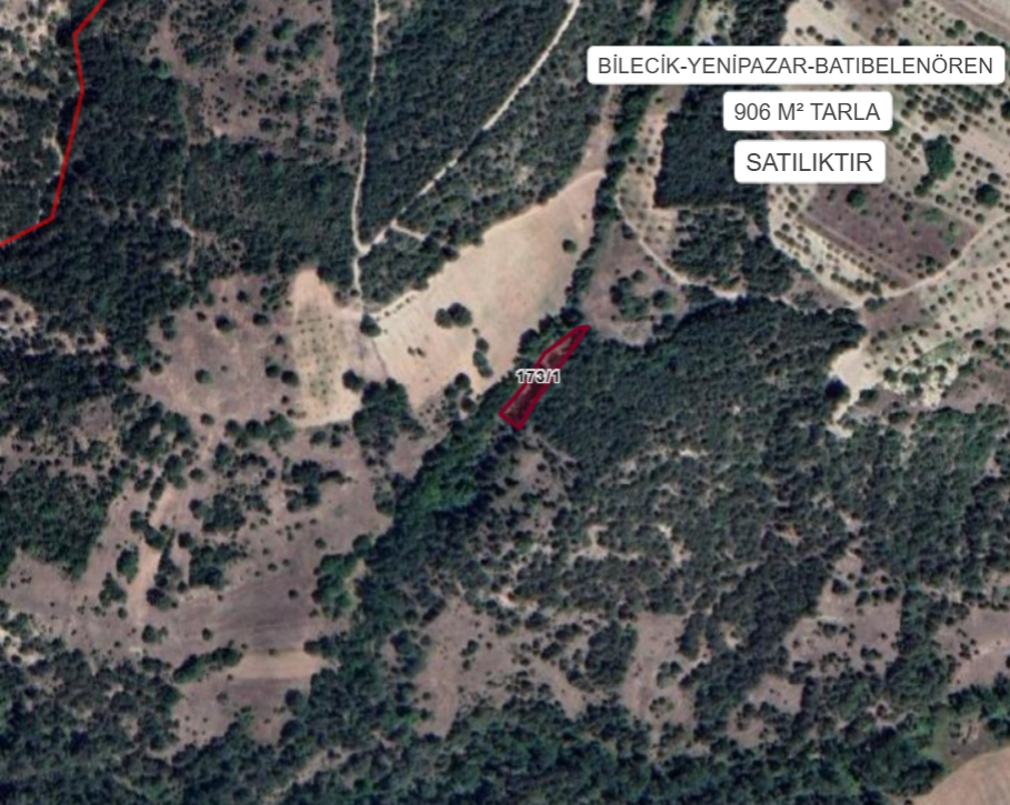 BİLECİK YENİPAZAR BATIBELENÖREN  KÖYÜ’NDE 906 M² TARLA SATILIKTIR - BİLECİK YENİPAZAR fotoğraf 2