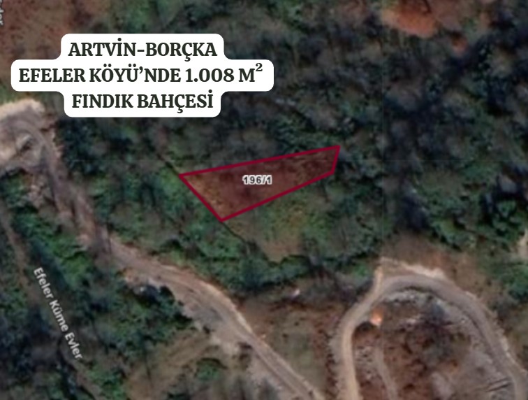 ARTVİN BORÇKA EFELER  KÖYÜ’NDE 1.008 M² FINDIK BAHÇESİ SATILIKTIR - ARTVİN BORÇKA fotoğraf 2