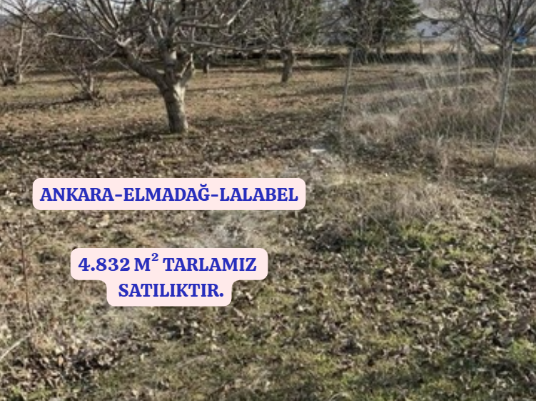 ANKARA ELMADAĞ LALABEL KÖYÜNDE 4.832 M² TARLAMIZ SATILIKTIR. - ANKARA ELMADAĞ fotoğraf 2
