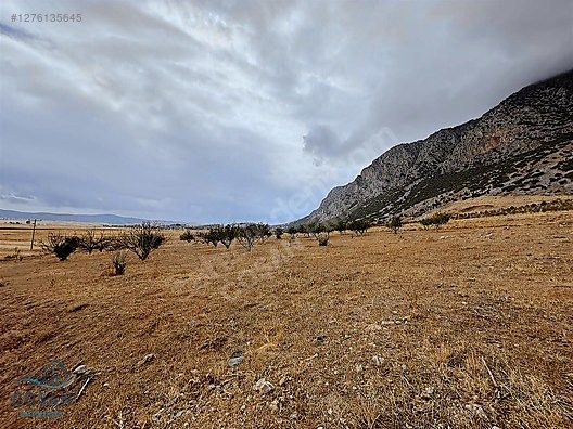 Burdur Yeşilova Alan Köy'de Satılık İmarlı Arsa (5760 m²) - BURDUR YEŞİLOVA fotoğraf 8