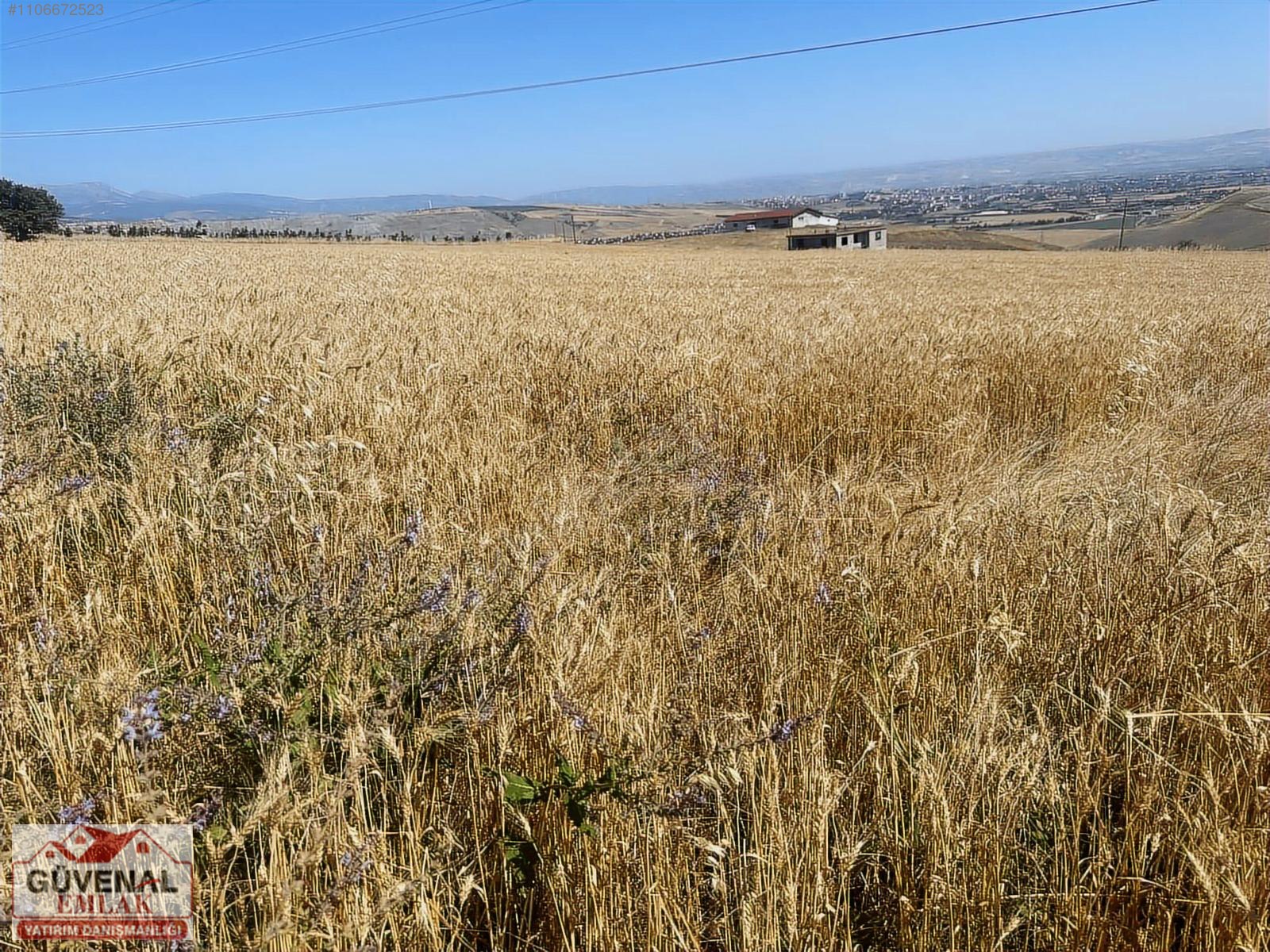 GÜVENALDAN SAMSUN OTOYULUNA YAKIN KADASTRO YOLUNA CEPHELİ - AMASYA MERZİFON fotoğraf 5