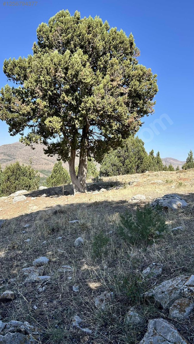 Pozantı Fenese Yaylasında Mükemmel Düz Zemin Harika Acil Kaçmaz 400M²  ARSA - ADANA POZANTI fotoğraf 11