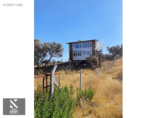 Kemalpaşa Çambel 425 m2 Hazır Kurulu Evli Bahçe - İZMİR KEMALPAŞA fotoğraf 33