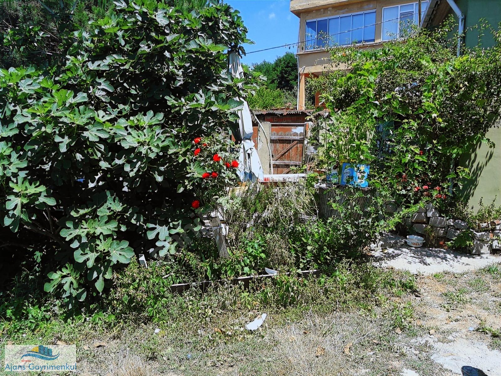 İncirköy de 800 m2 Arsa İçinde İki Adet Tek Katlı Müstakil Ev - İSTANBUL BEYKOZ fotoğraf 11