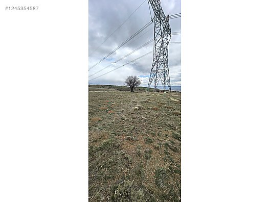 ANKARA ÇUBUK SIĞIRLIHACI KÖYÜNDE 5.461 M² TARLAMIZ SATILIKTIR - ANKARA ÇUBUK fotoğraf 16