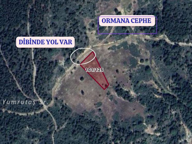 KÜTAHYA GEDİZ ÇUKURÖREN   KÖYÜNDE 3.276  M² TARLA  SATILIKTIR - KÜTAHYA GEDİZ fotoğraf 3