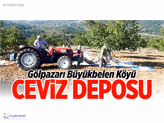 TURYAP Koza Emlakan Satılık Tarla - BİLECİK GÖLPAZARI fotoğraf 10