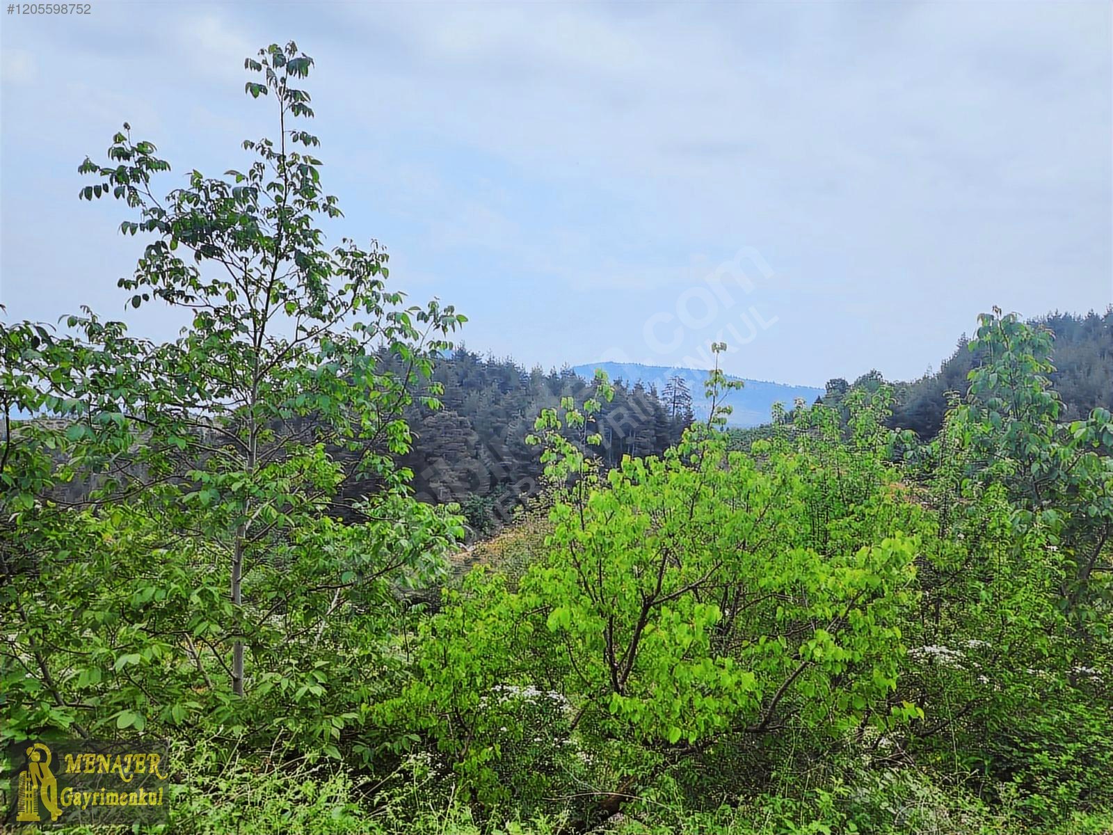 EVCİLİ KÖYÜ 10500 M2 EV VE CEVİZ BAHÇESİ - MERSİN TOROSLAR fotoğraf 16