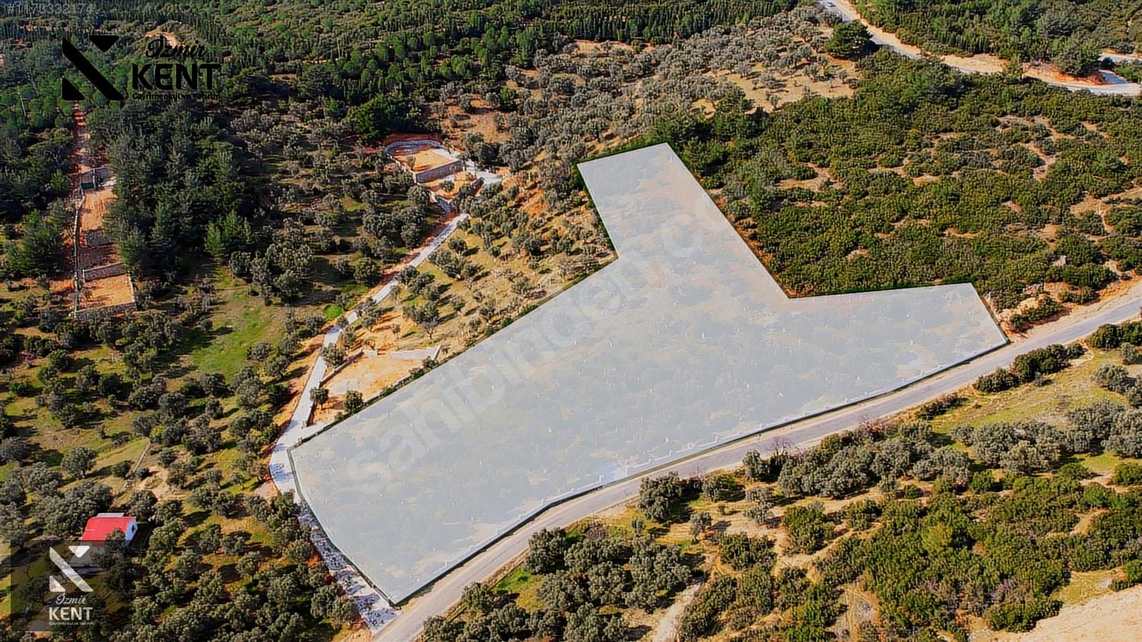 Kemalpaşa Sütçüler Satılık 11.398 m2 Bahçe - İZMİR KEMALPAŞA fotoğraf 47