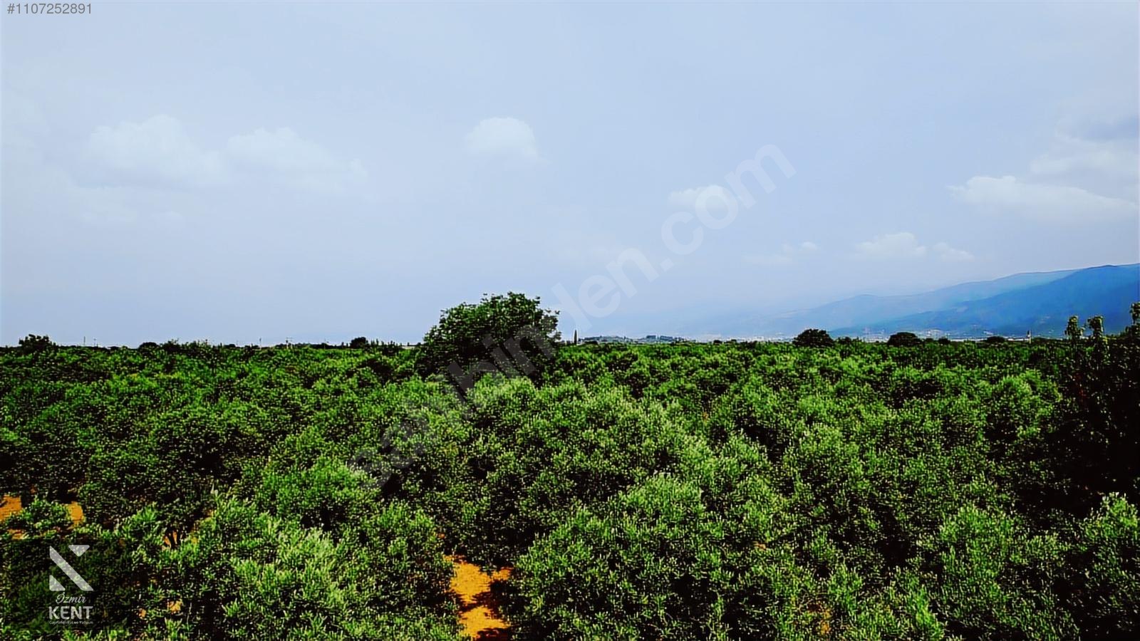 Kemalpaşa Aşağıkızılca Satılık Bahçe Tek Tapu 881 m2 - İZMİR KEMALPAŞA fotoğraf 11