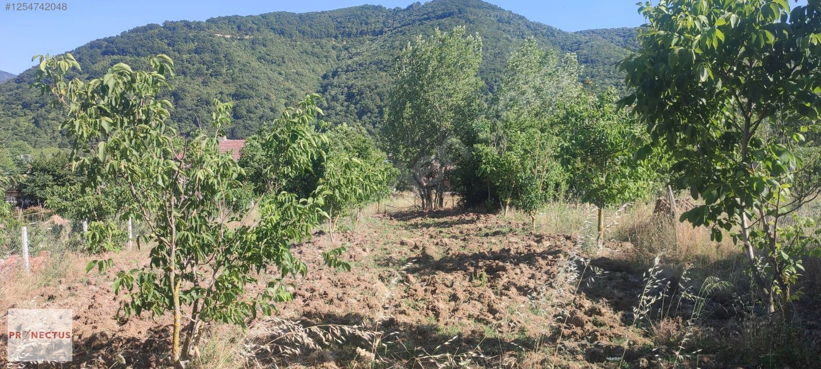 AVCIKÖY MAH. RESMİ YOLA CEPHE 3145 M2 İMARLI ARSA - KOCAELİ KARAMÜRSEL fotoğraf 2