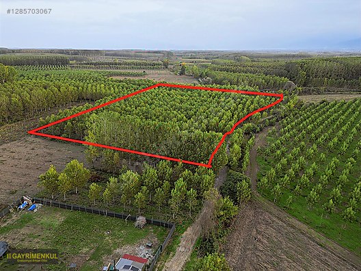 YATIRIM FIRSATI! ERENLER/ŞEYHKÖY MAH. 24.620 M² - SAKARYA ERENLER fotoğraf 38