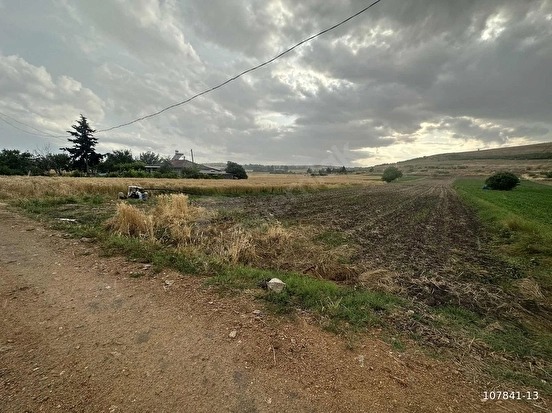 KUZUÇARDAĞI KÖYÜNDE 2245 M2 MÜSTAKİL TAPU %60 İMARLI ARSA - KIRKLARELİ BABAESKİ fotoğraf 12