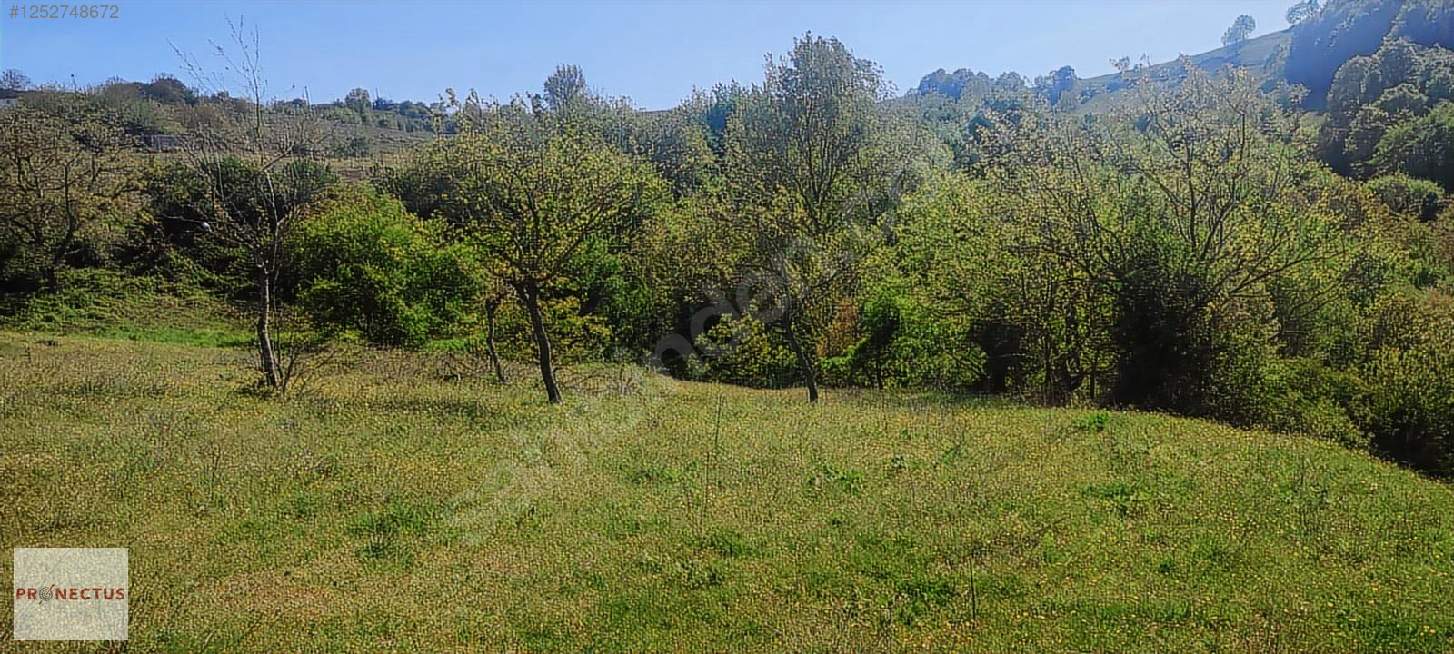 FULACIK MAHALLESİ'NDE RESMİ YOLA CEPHE SATILIK 3516 M2 ARSA - KOCAELİ KARAMÜRSEL fotoğraf 4