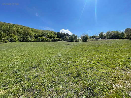 BURSA İZNİK CANDARLI'DA 6.517 M²  TARLA  SATILIKTIR. - BURSA İZNİK fotoğraf 6