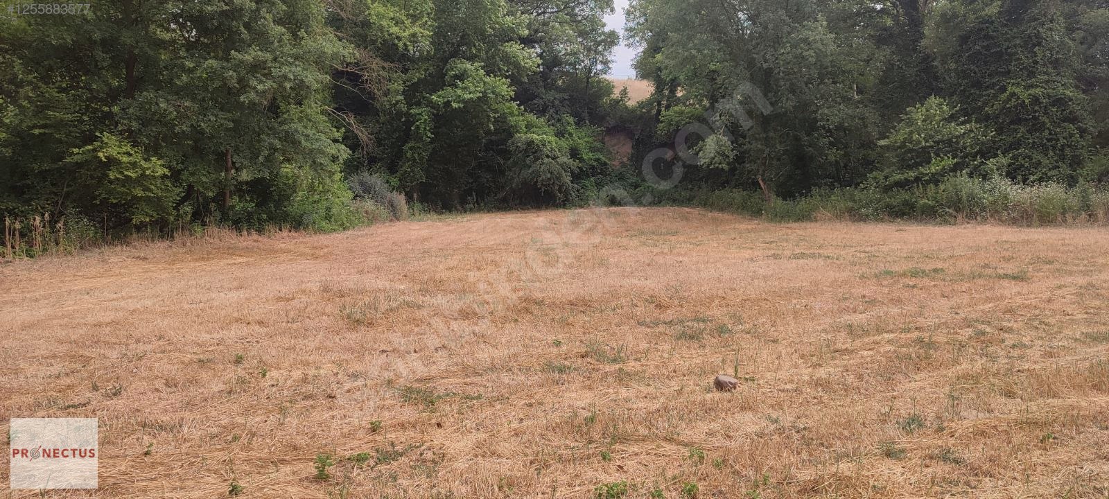 YALAKDERE MAH. 2978 M2 YATIRIMLIK FIRSAT ARSA, - KOCAELİ KARAMÜRSEL fotoğraf 3