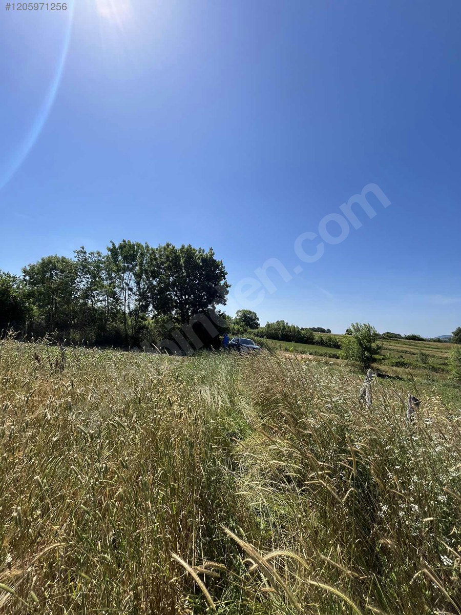 Acil Satılık - KOCAELİ KANDIRA fotoğraf 5