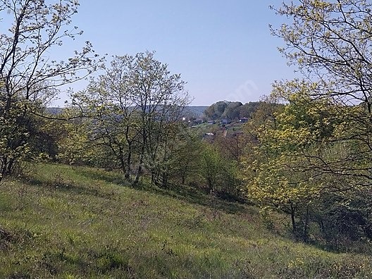 GEBZE AHATLI KÖYÜNDE 21 DÖNÜM ŞİLE SINIRI TARLA - KOCAELİ GEBZE fotoğraf 14
