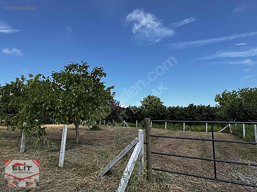 KARASU KUYUMCULUDA SATILIK 463 M2 FIRSAT ARSA - SAKARYA KARASU fotoğraf 13