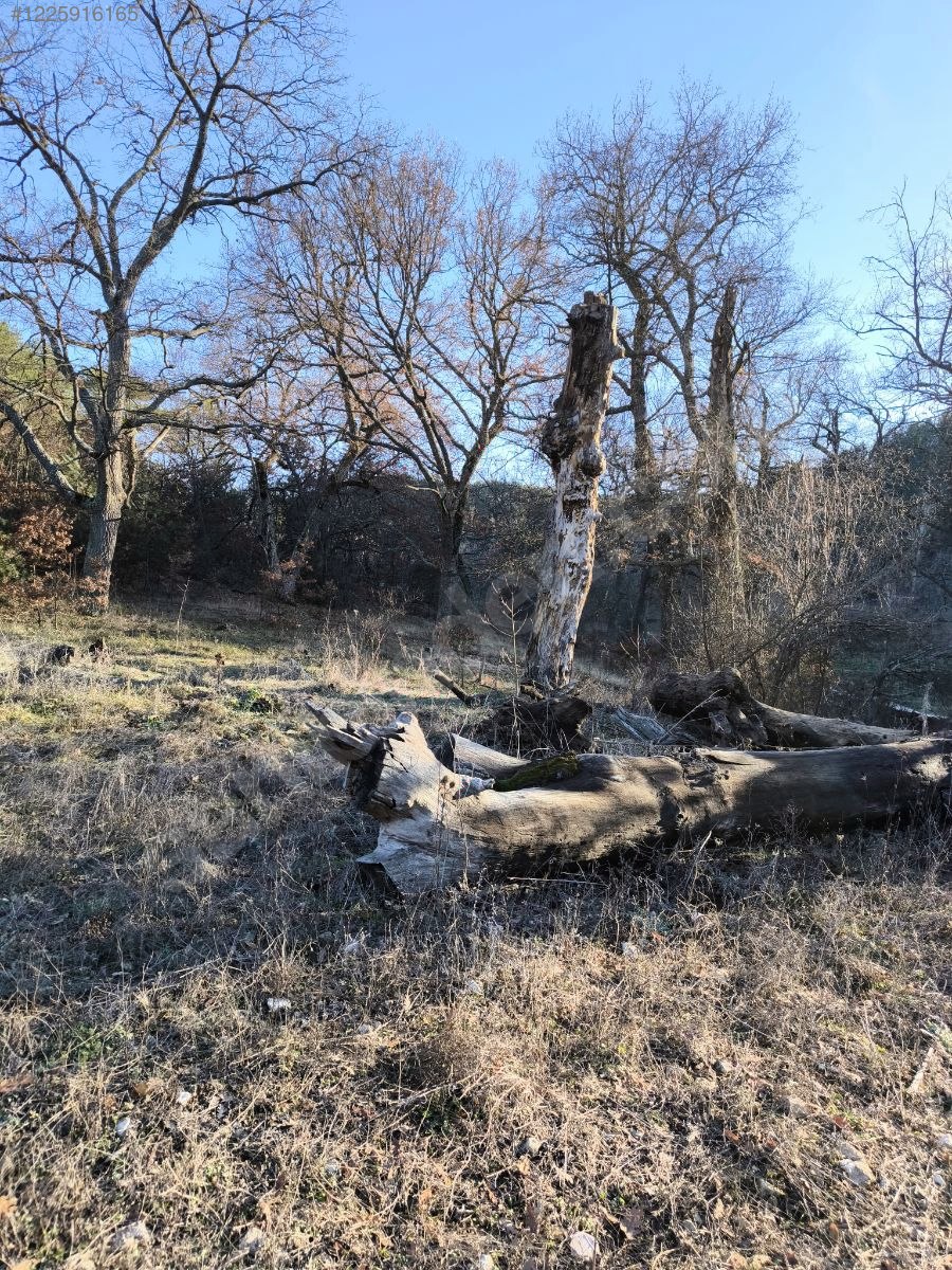 BURSA KELEŞ BAŞAK KÖYÜ’NDE 5.731 M²  TARLA SATILIKTIR - BURSA KELES fotoğraf 10
