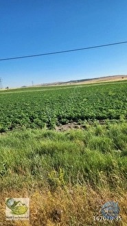 🚨 KÜTAHYA'DA ANAYOLA CEPHELİ 6.152 M² VERİMLİ TARLA 🚨 - KÜTAHYA MERKEZ fotoğraf 44
