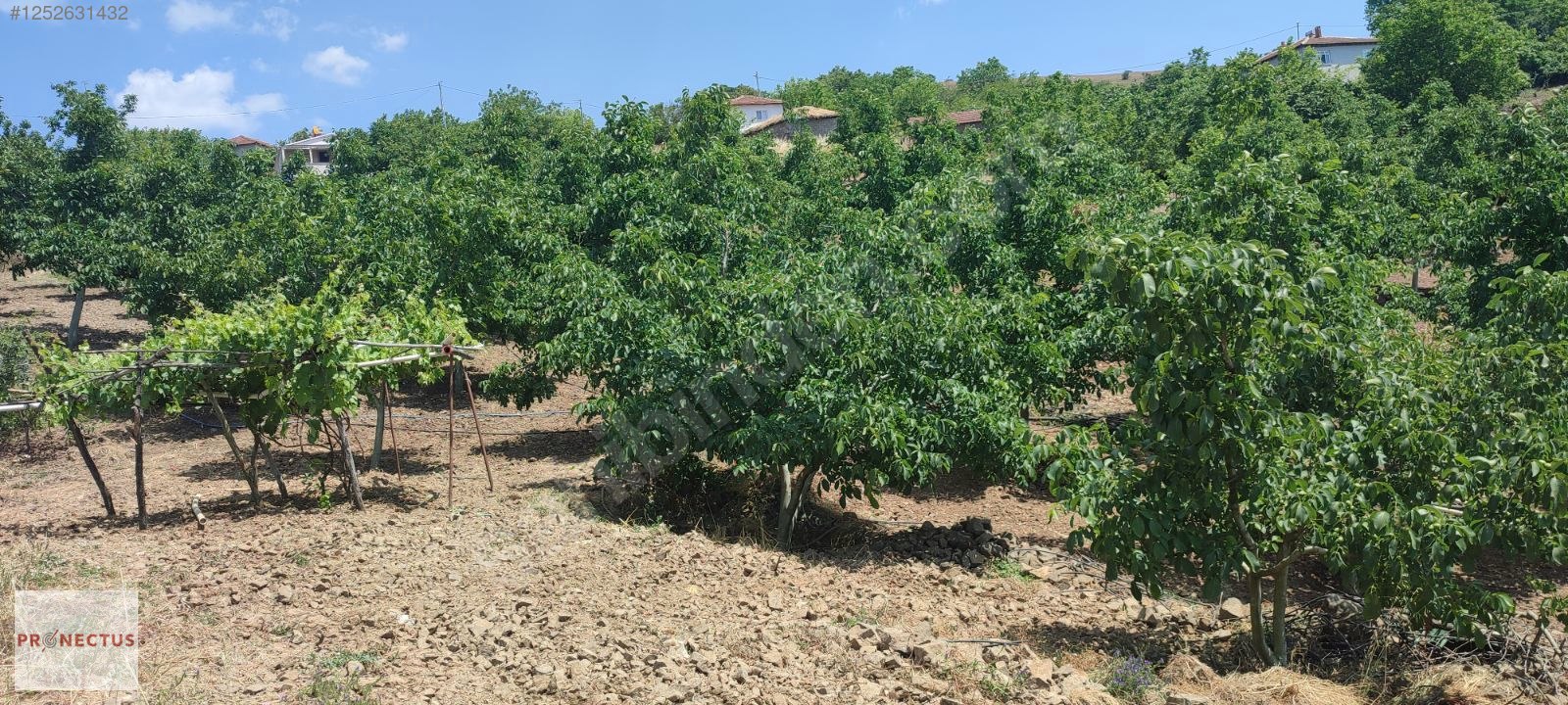 FULACIK MAHALLESİ'NDE KÖY İÇERİSİNDE 6229 M2 SATILIK ARSA - KOCAELİ KARAMÜRSEL fotoğraf 8