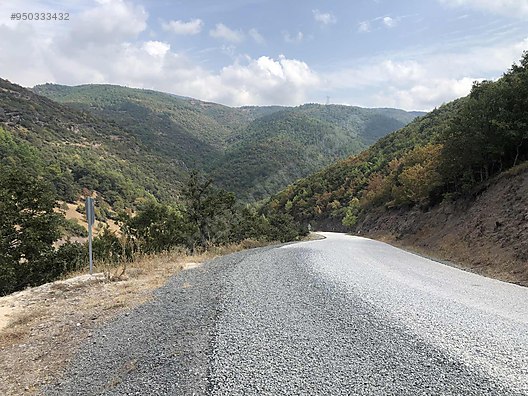 BURSA İZNİK BAYINDIR KÖYÜNDE 5.808 M² TARLA SATILIKTIR - BURSA İZNİK fotoğraf 3