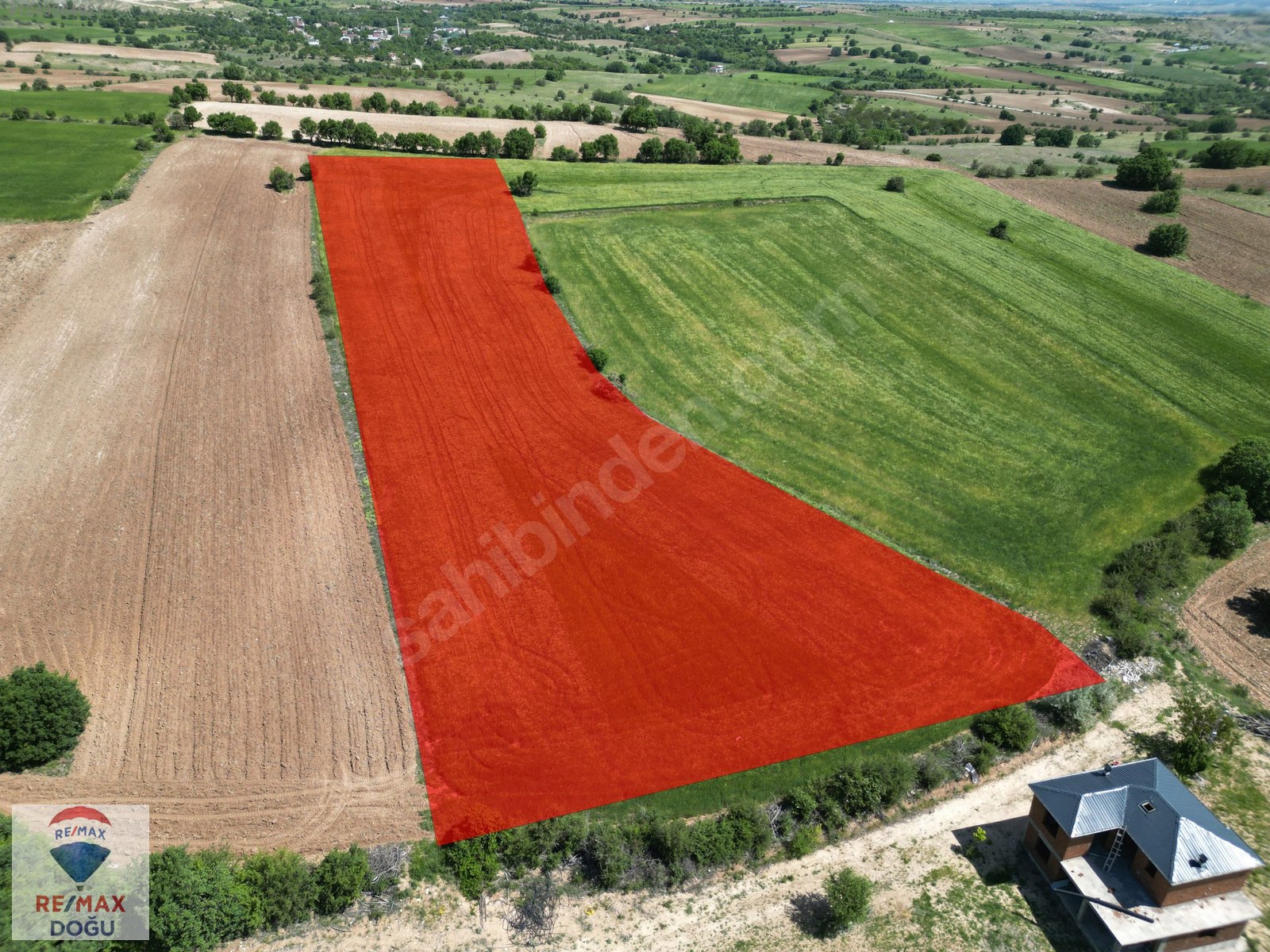 REMAX DOĞUDAN MERKEZ SÜTLÜCE'DE 10.066 m² SATILIK TARLA - ELAZIĞ MERKEZ fotoğraf 3