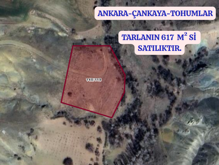 ANKARA ÇANKAYA TOHUMLAR  KÖYÜNDE TARLAMIZIN 617 M² Sİ SATILIKTIR. - ANKARA ÇANKAYA fotoğraf 2