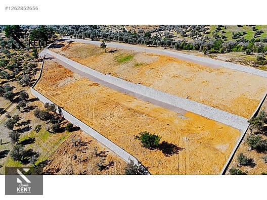 Kemalpaşa Ansızca Satılık 1406 m2 Bahçe - İZMİR KEMALPAŞA fotoğraf 26