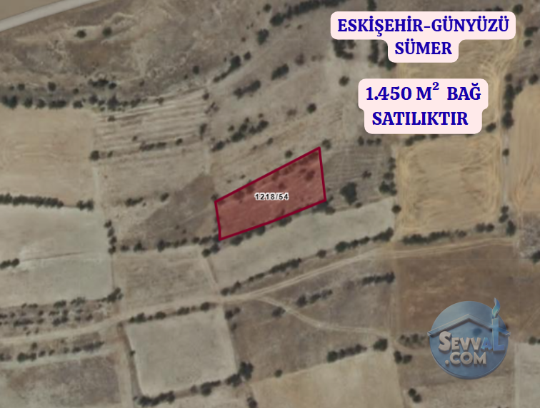 ESKİŞEHİR GÜNYÜZÜ SÜMER  KÖYÜNDE  1.450 M²   BAĞ  SATILIKTIR - ESKİŞEHİR GÜNYÜZÜ fotoğraf 2